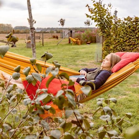 De Zevende Zon Bed & Breakfast Poperinge Bagian luar foto