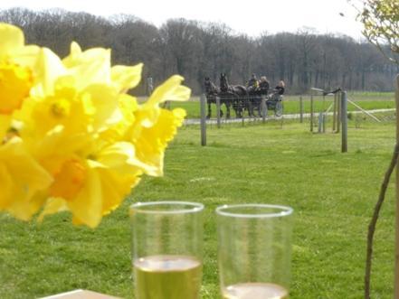 De Zevende Zon Bed & Breakfast Poperinge Bagian luar foto