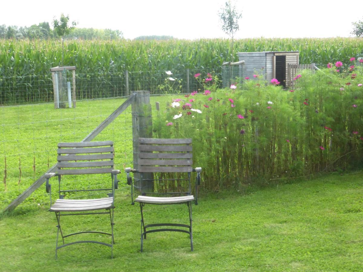 De Zevende Zon Bed & Breakfast Poperinge Bagian luar foto