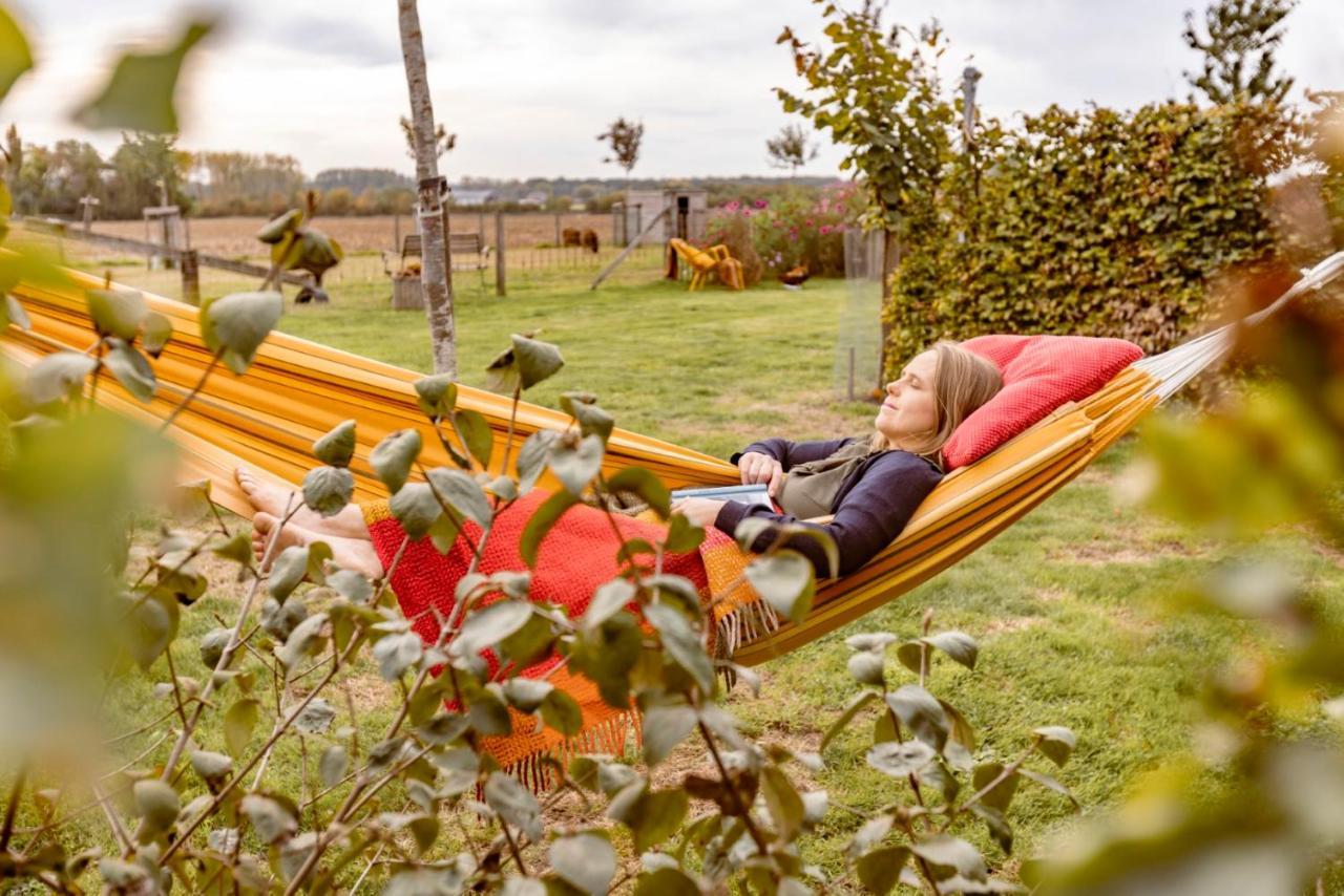 De Zevende Zon Bed & Breakfast Poperinge Bagian luar foto