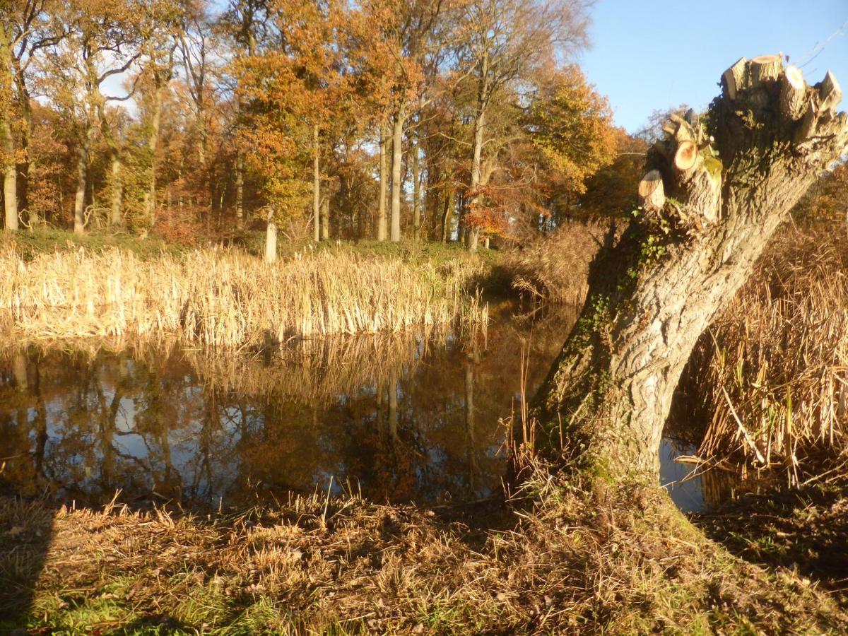 De Zevende Zon Bed & Breakfast Poperinge Bagian luar foto